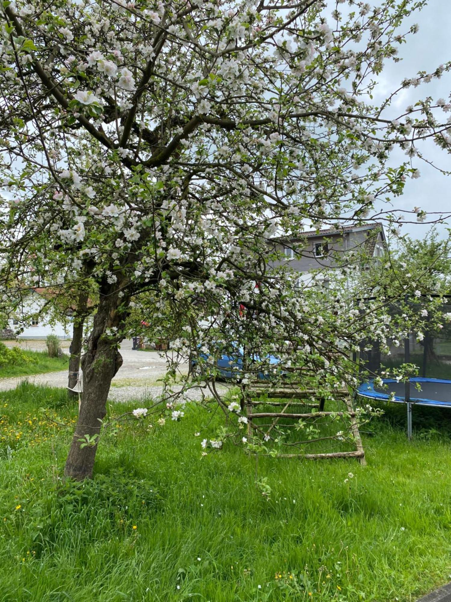 Appartement Am Brunnen à Uberlingen Extérieur photo